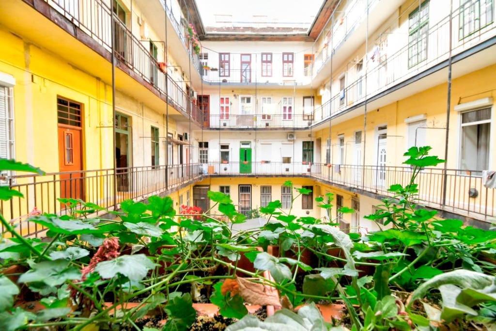 布达佩斯Nefelejcs Near The Keleti Railway Station公寓 外观 照片